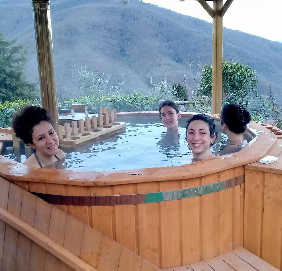 豪华帐篷 Yurta Con Uso Piscina E Vista Meravigliosa Dicomano 意大利